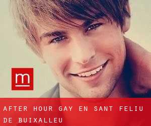 After Hour Gay en Sant Feliu de Buixalleu