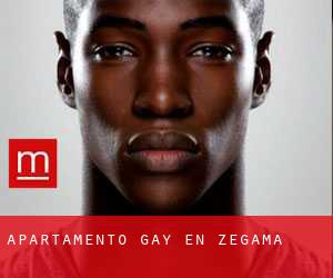 Apartamento Gay en Zegama