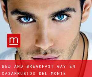 Bed and Breakfast Gay en Casarrubios del Monte