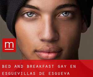 Bed and Breakfast Gay en Esguevillas de Esgueva