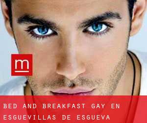 Bed and Breakfast Gay en Esguevillas de Esgueva