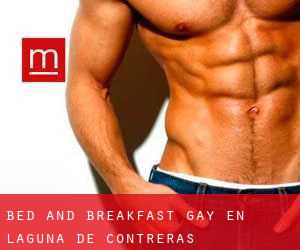 Bed and Breakfast Gay en Laguna de Contreras