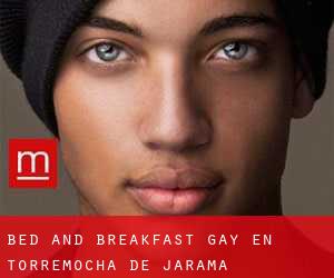 Bed and Breakfast Gay en Torremocha de Jarama
