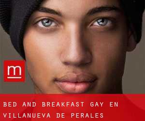 Bed and Breakfast Gay en Villanueva de Perales