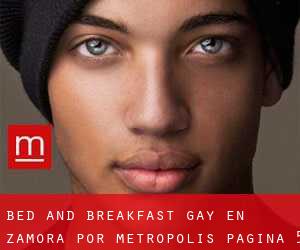 Bed and Breakfast Gay en Zamora por metropolis - página 5