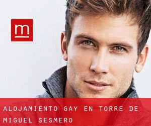 Alojamiento Gay en Torre de Miguel Sesmero