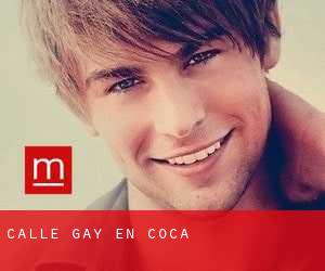 Calle Gay en Coca