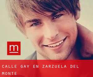Calle Gay en Zarzuela del Monte