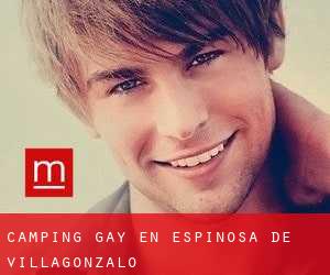 Camping Gay en Espinosa de Villagonzalo
