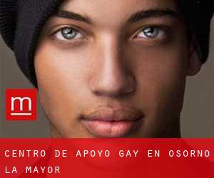 Centro de Apoyo Gay en Osorno la Mayor
