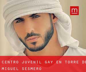 Centro Juvenil Gay en Torre de Miguel Sesmero