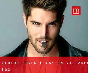 Centro Juvenil Gay en Villares (Los)