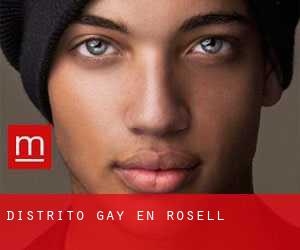 Distrito Gay en Rosell