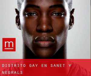 Distrito Gay en Sanet y Negrals