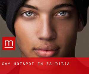 Gay Hotspot en Zaldibia