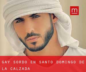 Gay Sordo en Santo Domingo de la Calzada