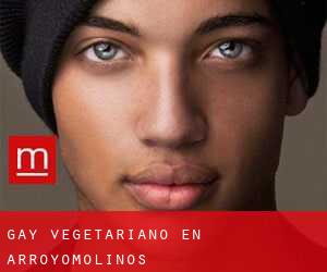 Gay Vegetariano en Arroyomolinos