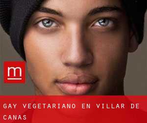 Gay Vegetariano en Villar de Cañas