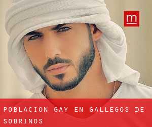 Población Gay en Gallegos de Sobrinos