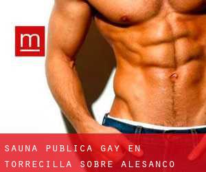 Sauna Pública Gay en Torrecilla sobre Alesanco