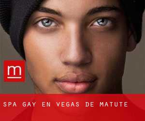 Spa Gay en Vegas de Matute